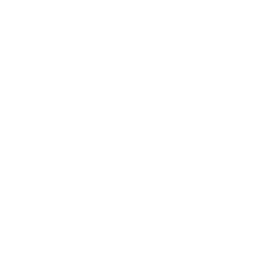 itch icon